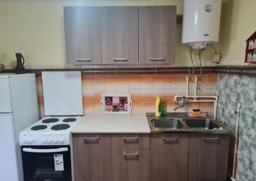 Una cocina o kitchenette en Apartman gaga