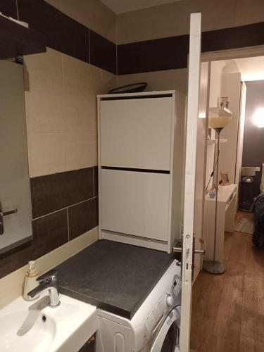 une petite cuisine avec un évier et un lave-linge dans l'établissement Appartement cosy dans le marais, à Paris
