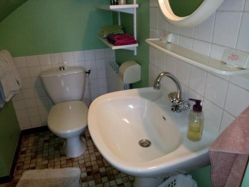 ein Bad mit einem Waschbecken und einem WC in der Unterkunft Studio Danton in Troyes