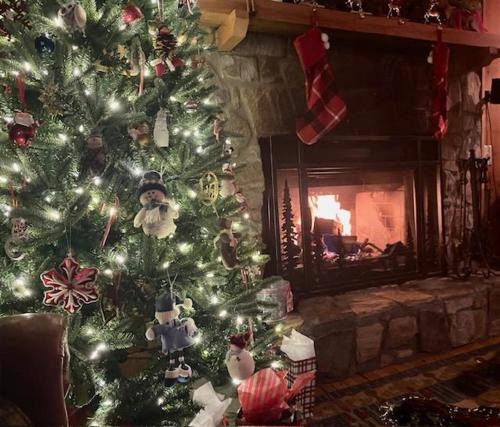 a christmas tree in a living room with a fireplace at St Johns Ridge in Sugar Grove