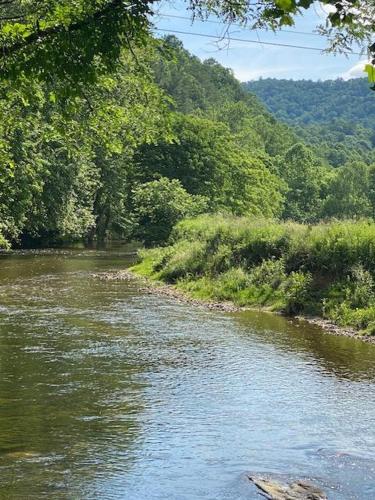 a river with trees on the side of it at St Johns Ridge in Sugar Grove