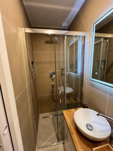 a bathroom with a shower and a sink at Chambre Douche WC privés - calme - terrasse in Saint-Germain-en-Laye