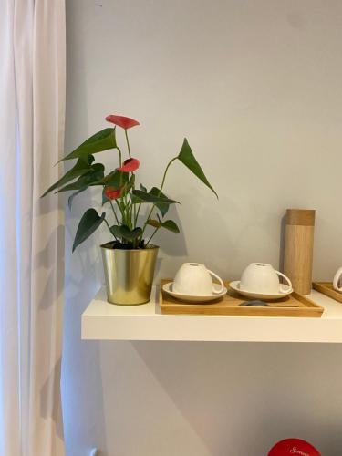 un estante con dos platos y una planta en él en Chambre Chants d'oiseaux, en Bruselas