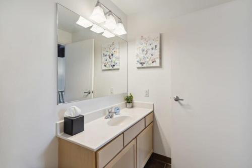 a bathroom with a sink and a mirror at 2BR Historic Loft Retreat With Pool & Gym in Pittsburgh
