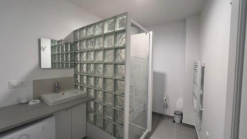 a bathroom with a glass shower and a sink at Fenix Appartement T2 40 M2 cosy RDC plein centre ville in Pierrelatte