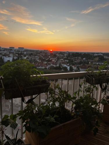 a sunset from a balcony with potted plants at Chambre artistique entre Disneyland et Paris in Neuilly-sur-Marne