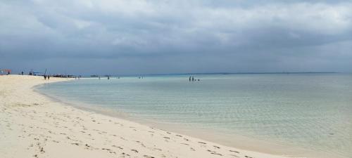 a beach with a group of people in the water at Santa Rita lodge in Kiwengwa
