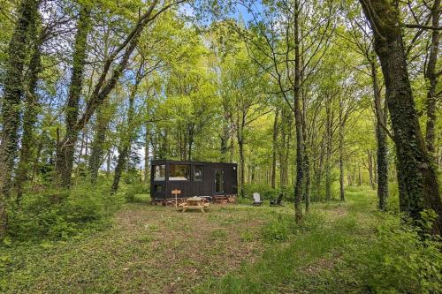a camp site in the middle of a forest at Tiny House La Clairière au milieu des bois ! in Sonchamp