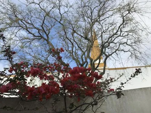 Foto Apartamento acolhedor no centro da cidade, com pátio privado. 4