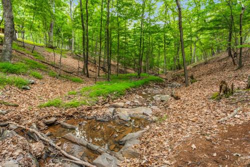 a dirt trail in the woods with a creek at Cabin w New Hot Tub, River, Kayak, WiFi, & Fire Pit in Morton Grove