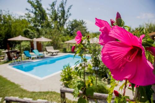 Бассейн в Attalos Mythical Nest - Private Pool Escapade или поблизости