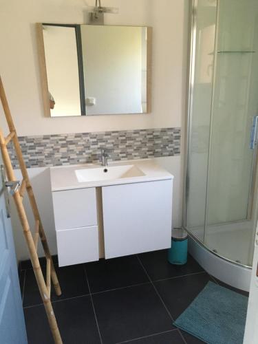 a bathroom with a sink and a mirror and a shower at Domaine la Colomine in Canet-en-Roussillon