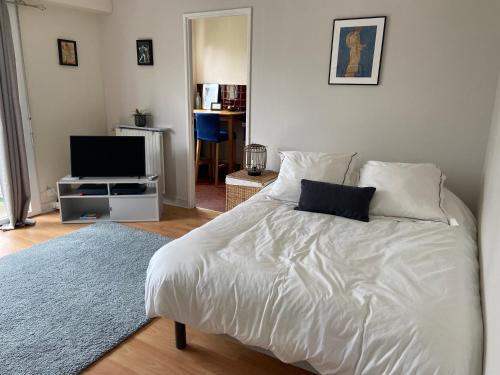 a bedroom with a white bed and a television at Joli Studio Lumineux in Suresnes