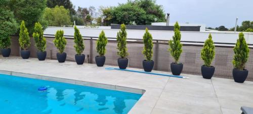 a row of potted plants next to a swimming pool at HOM I Casa en Condominio Alto Lomas a 3min de Marbella con Piscina y Jacuzzi in Maitencillo