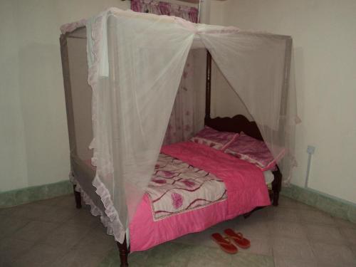 een klein bed met een baldakijn in een kamer bij NEDLAND INN in Konza
