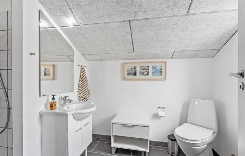 a white bathroom with a toilet and a sink at Pet Friendly Home In Bagenkop With Kitchen in Bagenkop