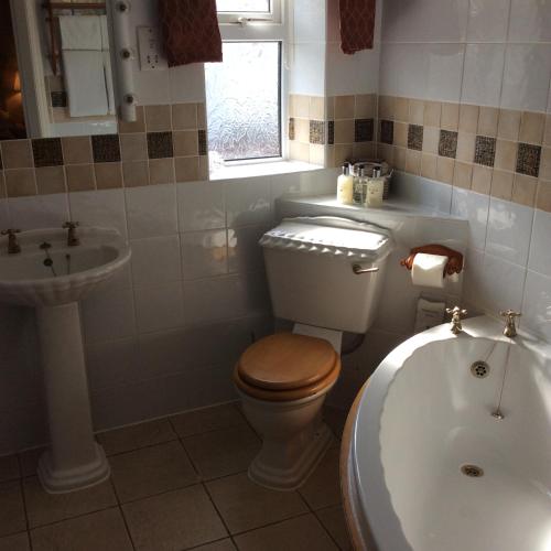 a bathroom with a toilet and a sink and a tub at The Old Coach House in Blackpool