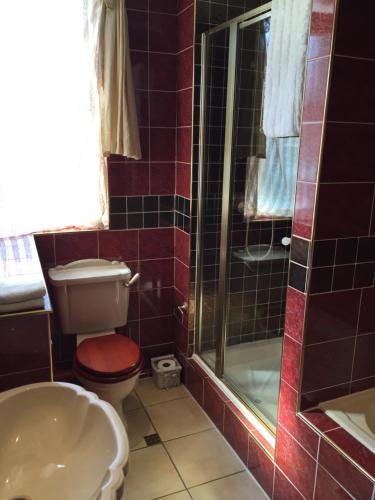 a bathroom with a toilet and a shower and a sink at The Old Coach House in Blackpool