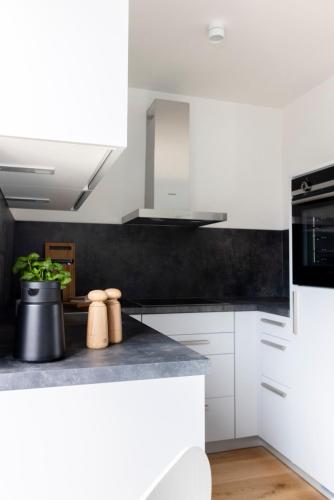 Η κουζίνα ή μικρή κουζίνα στο Pier21 FINE LOFTS