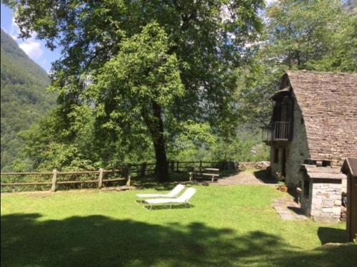 Frasco的住宿－Verzasca Lodge Matilde，坐在树旁的草上长凳