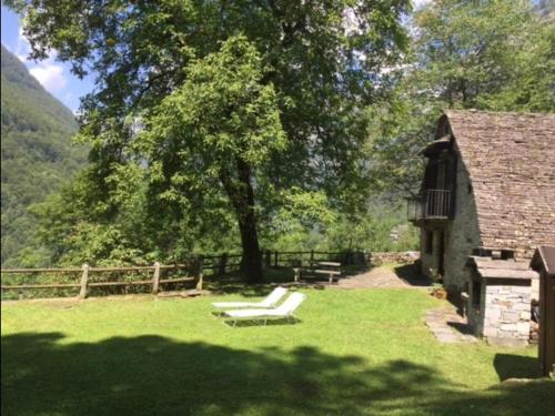 a bench sitting in the grass next to a tree at Verzasca Lodge Matilde in Frasco