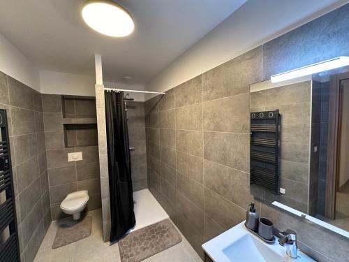 une salle de bain avec un lavabo, des toilettes et un miroir dans l'établissement CASA ALTEZZA, à Soveria