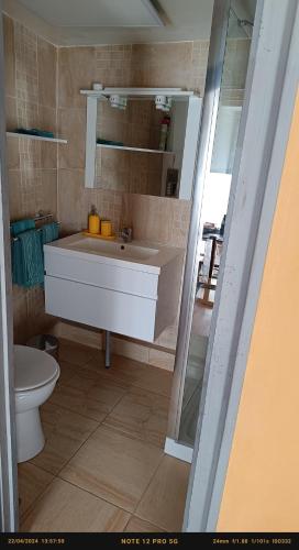 a bathroom with a white sink and a toilet at Chambres d'Hôtes & Gites Pouget in Les Eyzies-de-Tayac