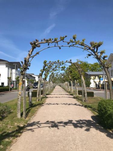 Un camino con un arco con árboles en él. en Haus Nicolai FeWo 8, en Baabe