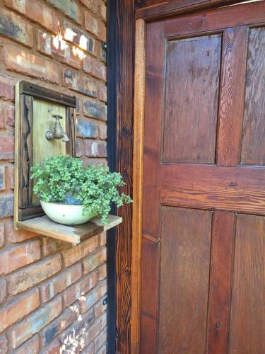 a plant sitting on a shelf next to a door at Fraai Maraai Self Catering Apartments in Groblersdal