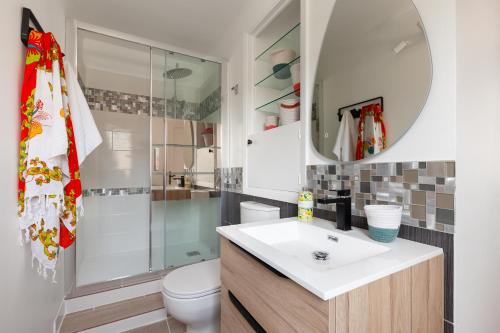une salle de bain avec un lavabo, des toilettes et une douche dans l'établissement Villa L'acanthe, à Six-Fours-les-Plages