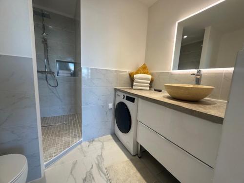 ein Badezimmer mit einem Waschbecken und einer Waschmaschine in der Unterkunft APPARTEMENT QUAI SAINT PIERRE in Cannes