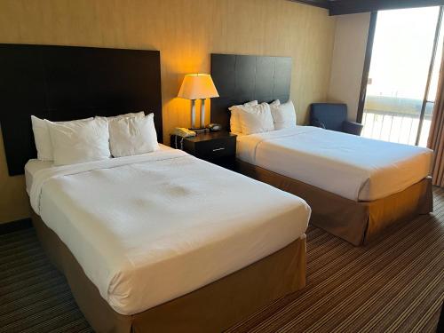 um quarto de hotel com duas camas e uma janela em Wyndham Garden Schaumburg Chicago Northwest em Schaumburg