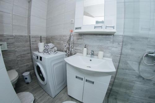 ein Badezimmer mit einem Waschbecken und einer Waschmaschine in der Unterkunft Vojvodjanska zora in Sombor