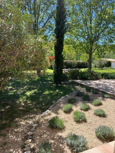 un jardín con un banco, árboles y césped en Les Cyprès, en Lourmarin