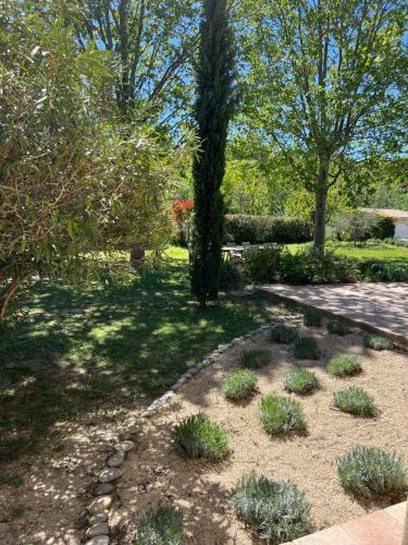 un jardin avec un banc, des arbres et de la pelouse dans l'établissement Les Cyprès, à Lourmarin
