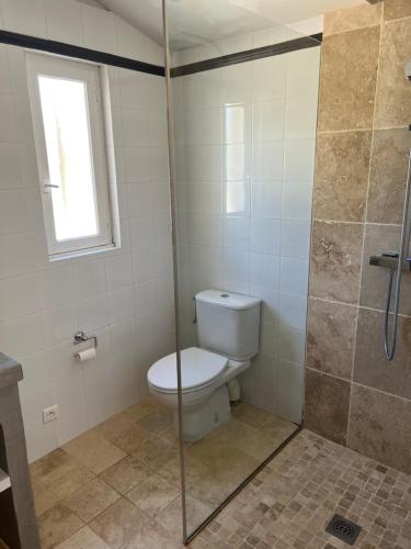 a bathroom with a toilet and a shower at Les Cyprès in Lourmarin