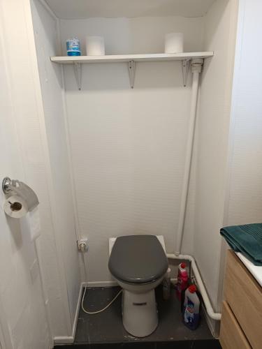 - une petite salle de bains avec toilettes dans une cabine dans l'établissement Studio vert tout équipé wifi, au Creusot