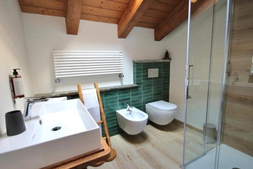 W łazience znajduje się umywalka, toaleta i prysznic. w obiekcie Le Foyer de Grand-mère w mieście Fénis