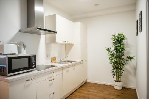 Kuchyň nebo kuchyňský kout v ubytování Fantastic 2 Bedroom Apartment
