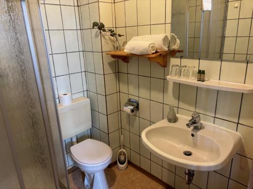a bathroom with a toilet and a sink at Goldener Loewe in Wunsiedel