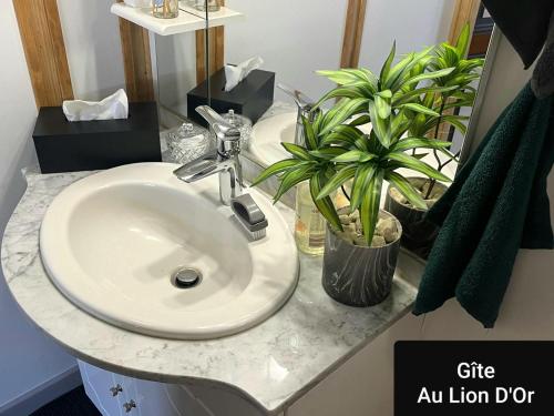 a bathroom counter with a sink and a plant at Au Lion d'Or in Les Roches-lʼÉvêque