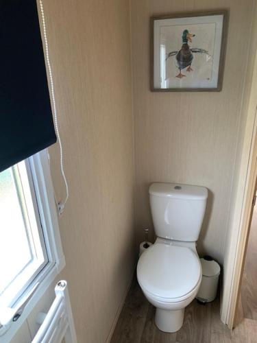 a bathroom with a toilet and a picture on the wall at A 'Small' Hideaway in Pakefield