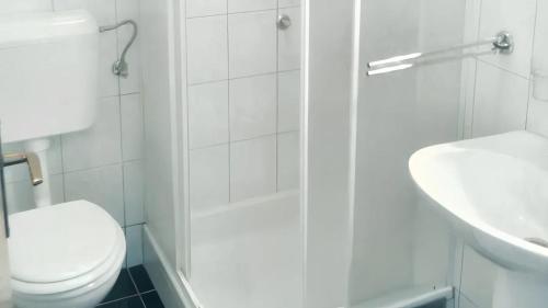 biała łazienka z toaletą i umywalką w obiekcie Cosy Apartment in Ražanac 34 m² + View w Ražancu