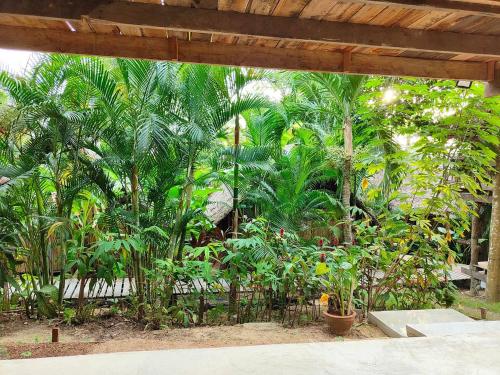 a garden with many trees and plants at The Tropical Koh Mook in Koh Mook