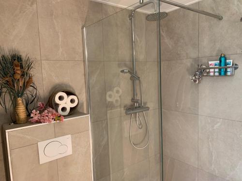 a shower with a glass door in a bathroom at Romantisch Wellness Appartement met privé Hottub Sauna Gamesroom in Den Ham