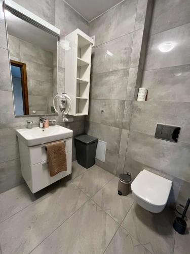 a bathroom with a white toilet and a sink at Beztroska Zatoka - agroturystyka Jacuzzi & Sauna in Połajewo