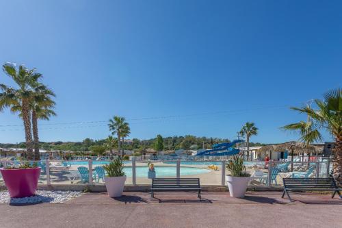 - une piscine dans un complexe avec 2 bancs et des palmiers dans l'établissement Mobile home Le Montourey 81, à Fréjus