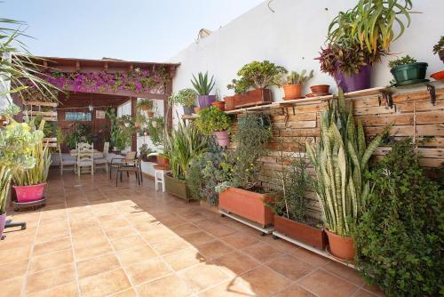 Alojamiento El Ocaso