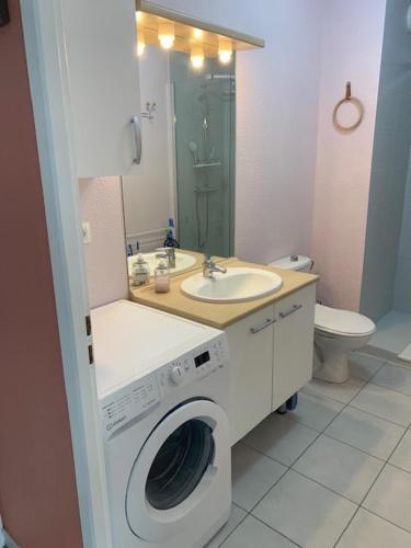 une salle de bain avec une machine à laver et un lavabo dans l'établissement Les sources de Marie, à Thonon-les-Bains