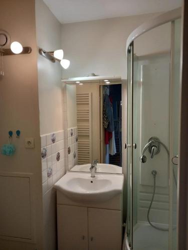 une salle de bain avec un lavabo et une douche dans l'établissement Appartement charmant avec vue sur la mer à Cabourg - 30 m², à Cabourg